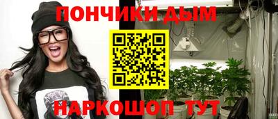 шишки Боровичи