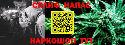 шишки Боровичи