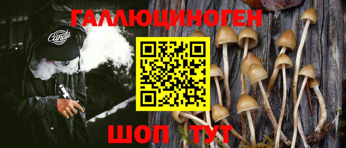 COCAIN  Канабис  Меф МЯУ МЯУ   Дмитров  ГАШ  Кокаин  Вход с VPN 
